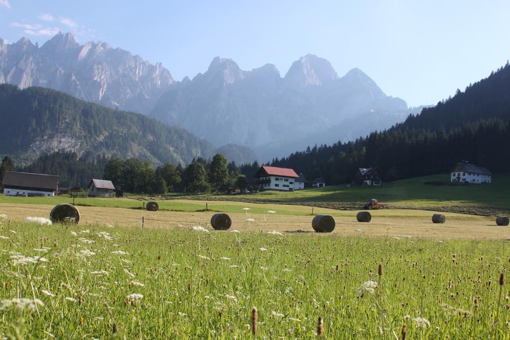 Muhlradl Apartments Gosau Cameră foto