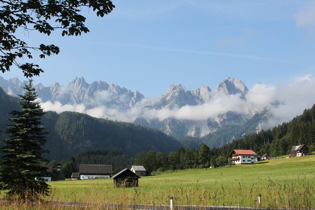 Muhlradl Apartments Gosau Exterior foto